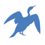 Ptáci